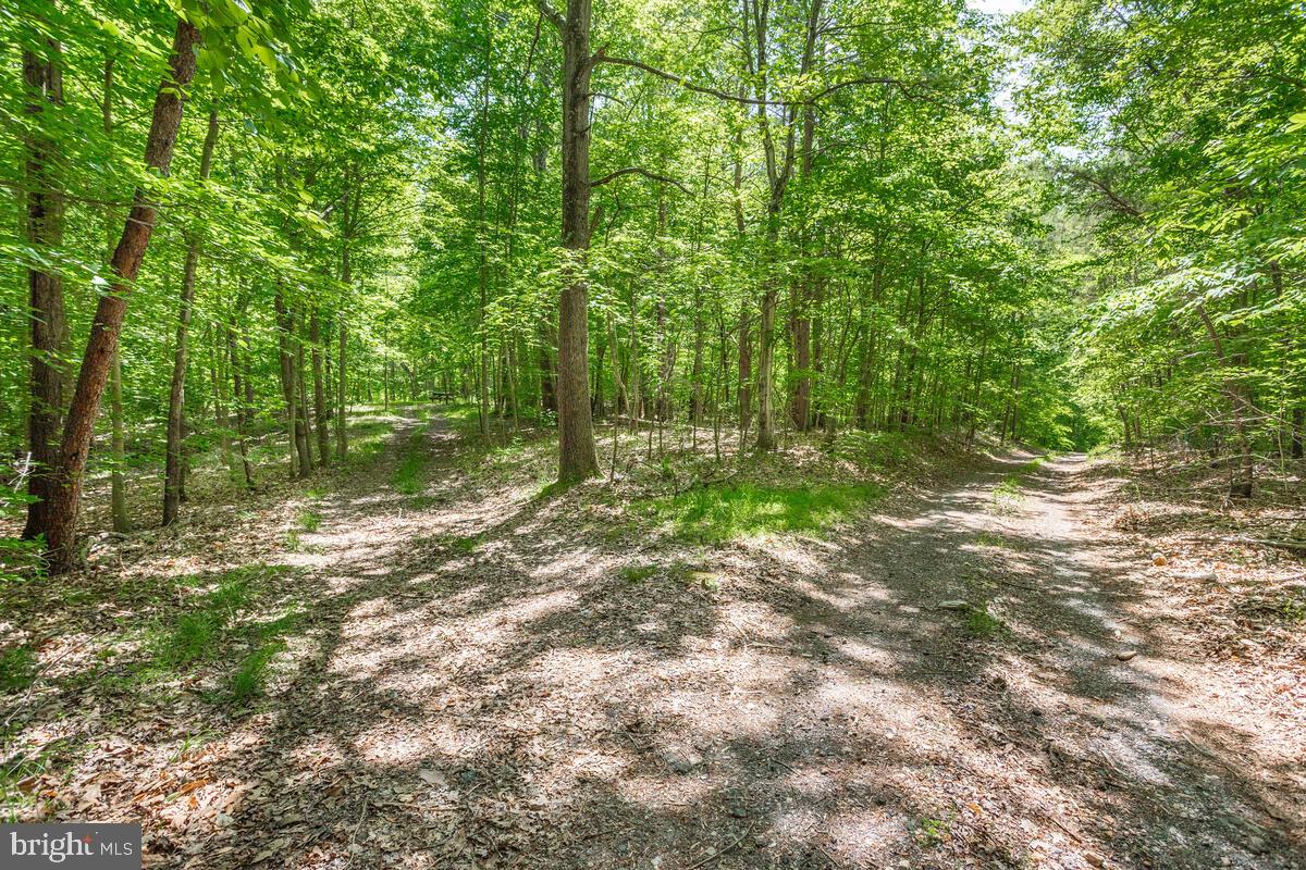 3581 Yellow Bank Road Dunkirk, MD 20754 - Photo 68 of 93