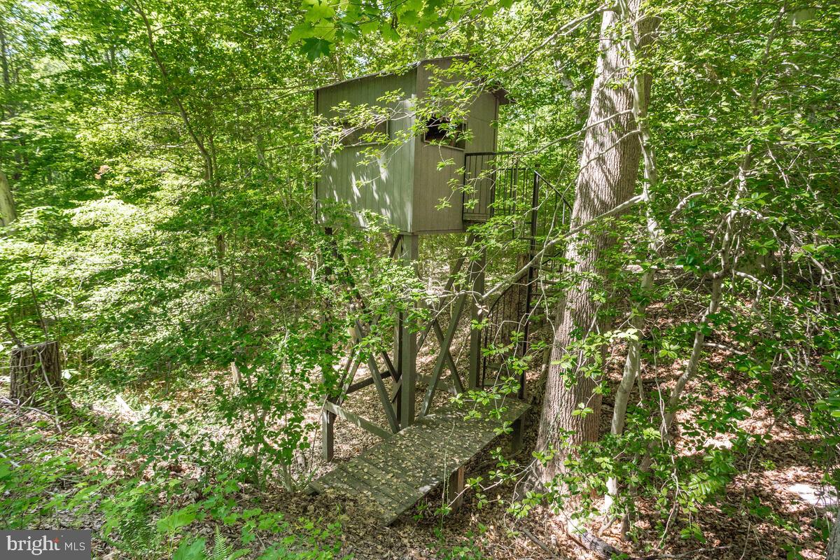 3581 Yellow Bank Road Dunkirk, MD 20754 - Photo 69 of 93