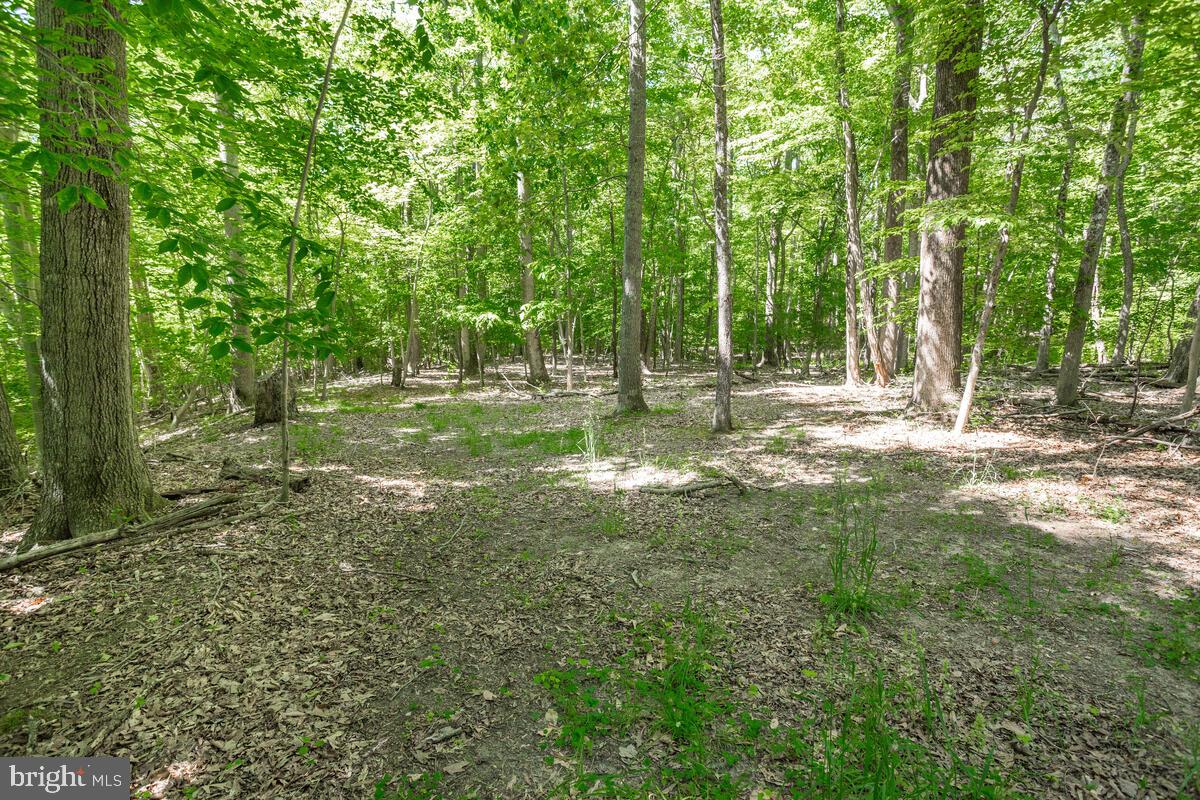 3581 Yellow Bank Road Dunkirk, MD 20754 - Photo 70 of 93