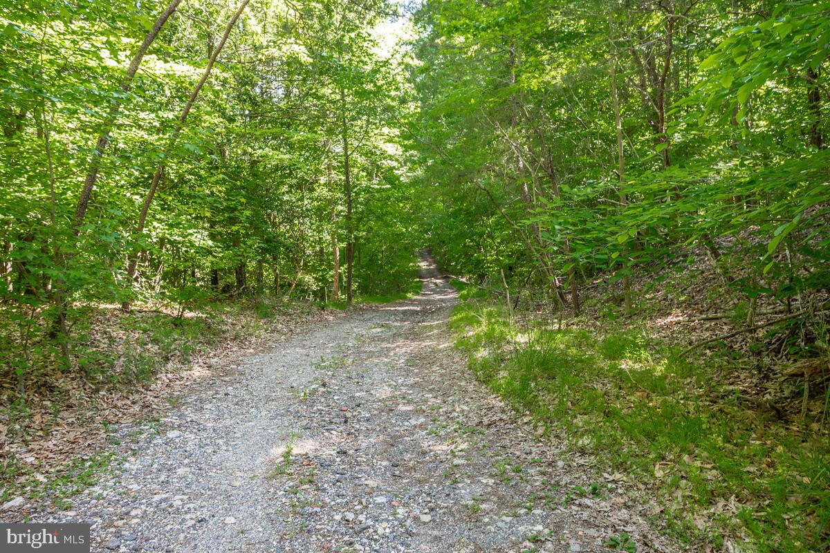 3581 Yellow Bank Road Dunkirk, MD 20754 - Photo 71 of 93