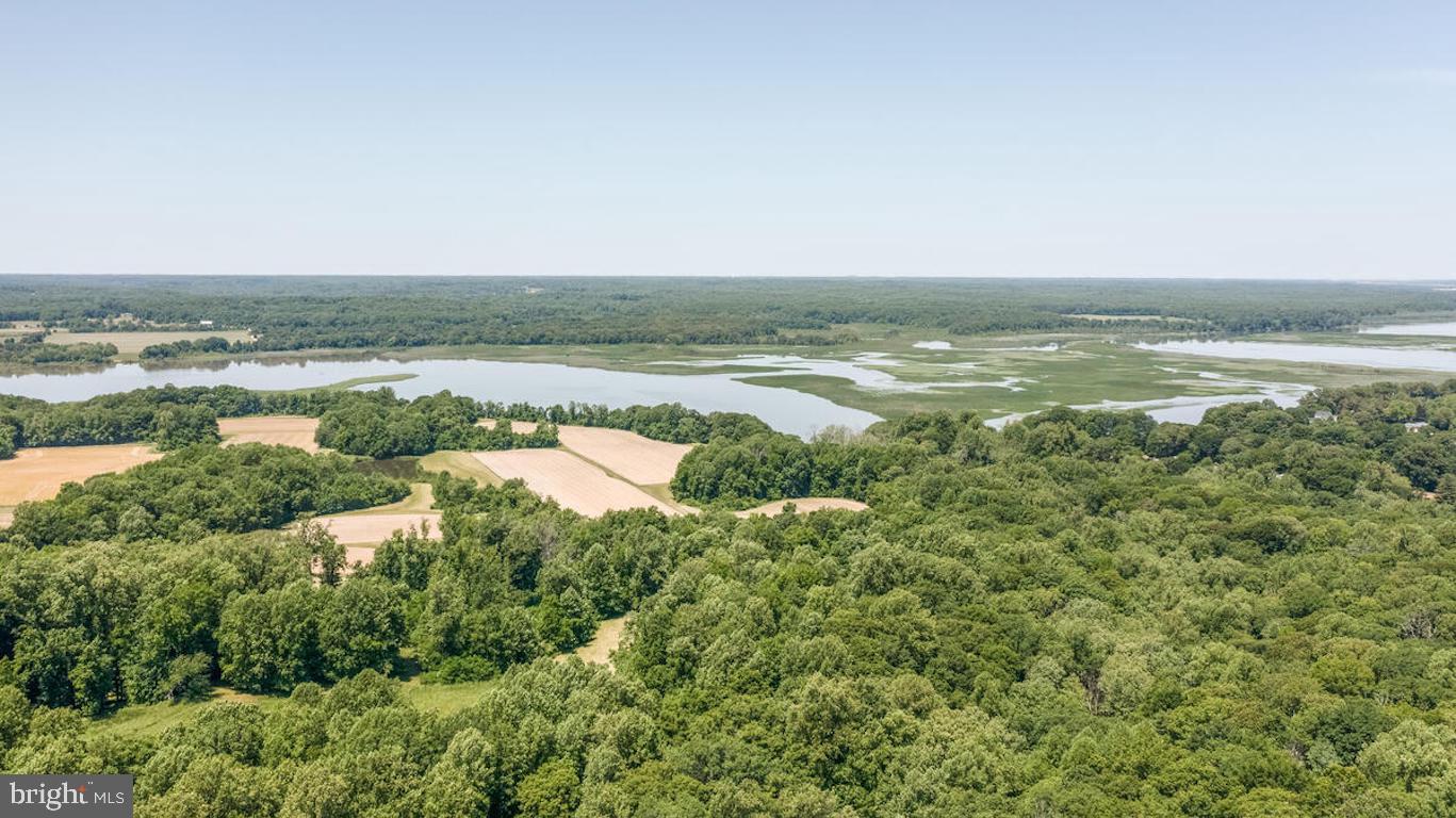 3581 Yellow Bank Road Dunkirk, MD 20754 - Photo 84 of 93
