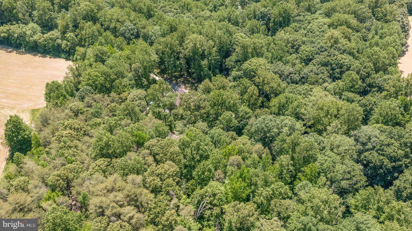 3581 Yellow Bank Road Dunkirk, MD 20754 - Photo 86 of 93