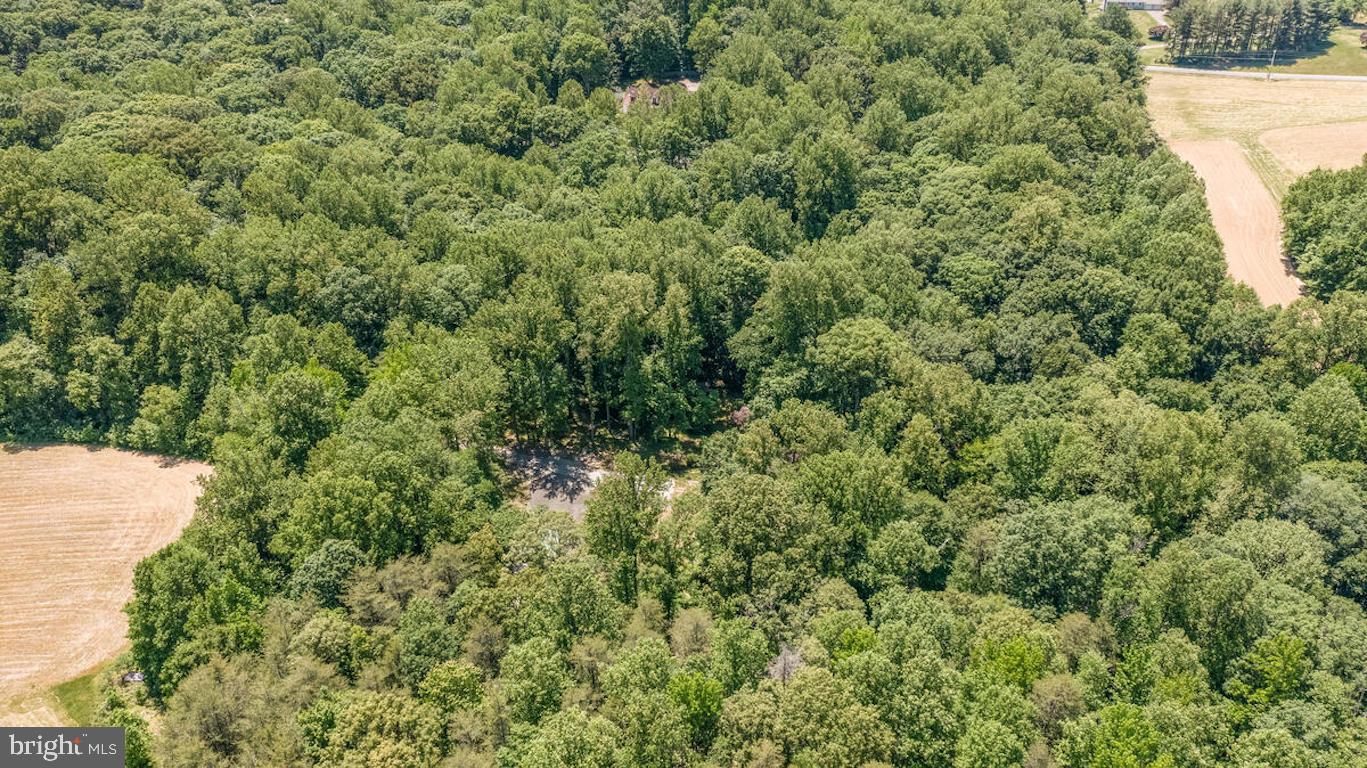 3581 Yellow Bank Road Dunkirk, MD 20754 - Photo 87 of 93