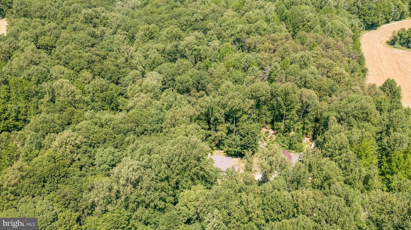 3581 Yellow Bank Road Dunkirk, MD 20754 - Photo 89 of 93