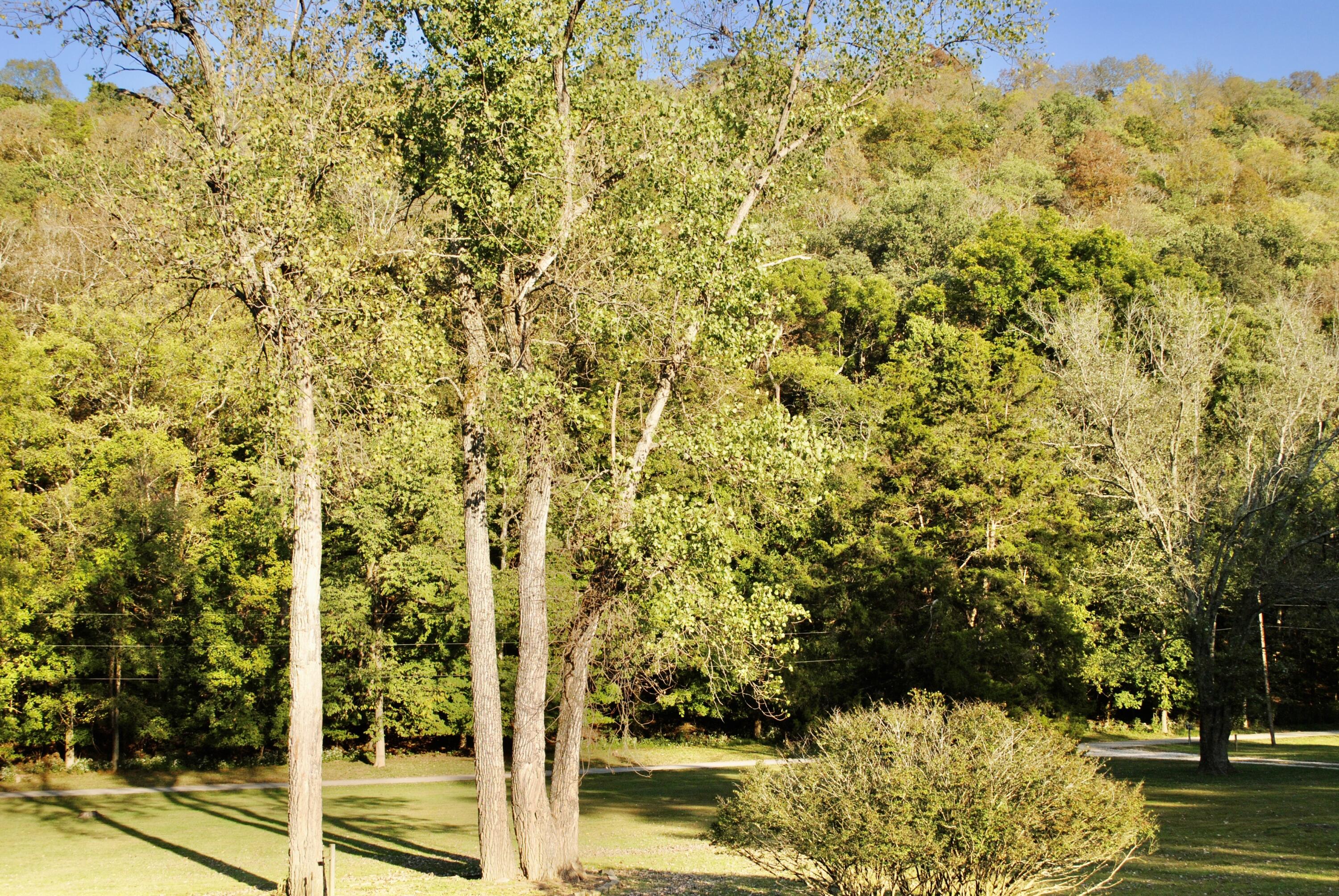 1900 Shore Acres Road Frankfort, KY 40601 - Photo 40 of 47 DSC_0632
