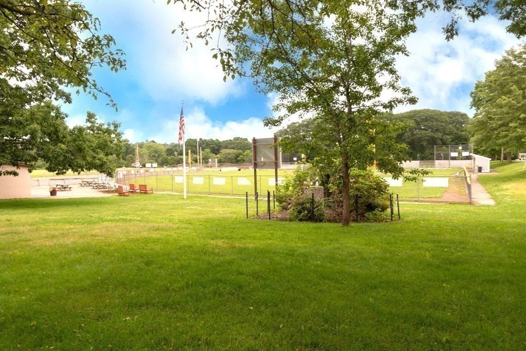 25 Porter Street Danvers, MA 01923 - Photo 42 of 42 a view of a yard with an tree