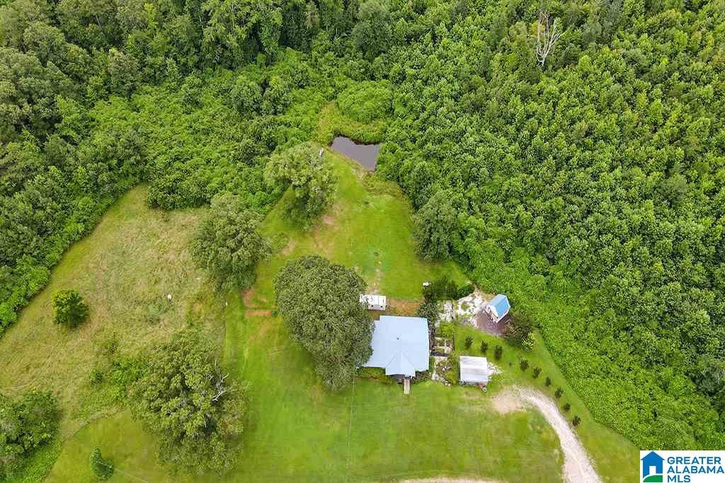 3464 County Road 29 Heflin, AL 36264 - Photo 30 of 34