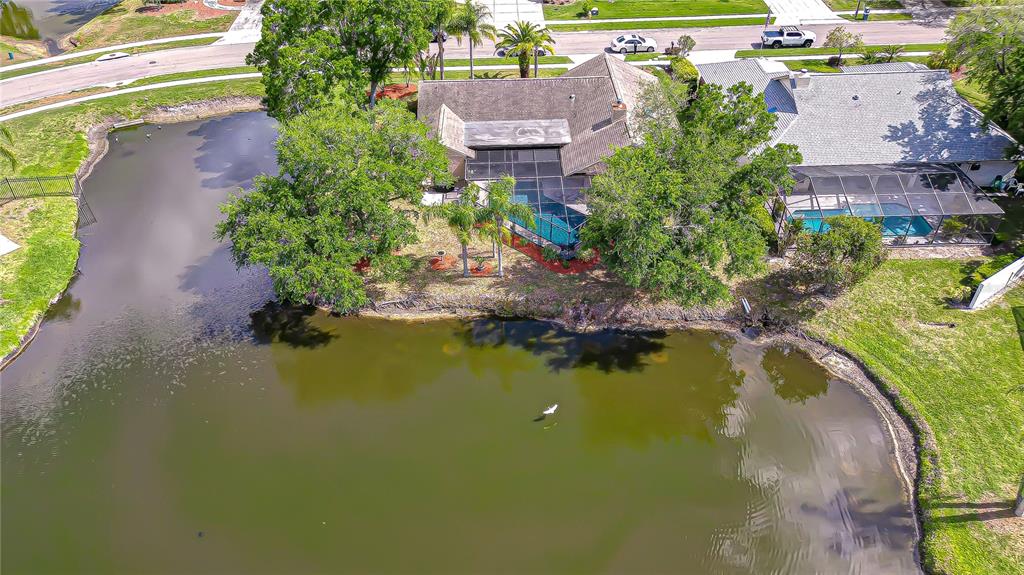 20 Fernbrook Road Oldsmar, FL 34677 - Photo 4 of 37