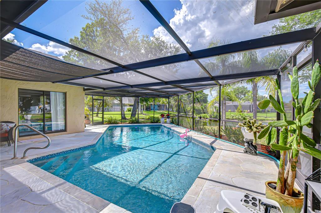 20 Fernbrook Road Oldsmar, FL 34677 - Photo 6 of 37