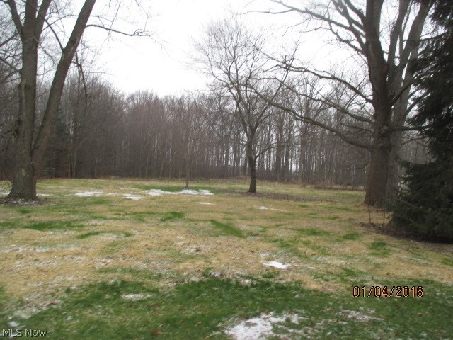 10430 Dewhurst Road Elyria, OH 44035 - Photo 3 of 10 Gallery Image 3