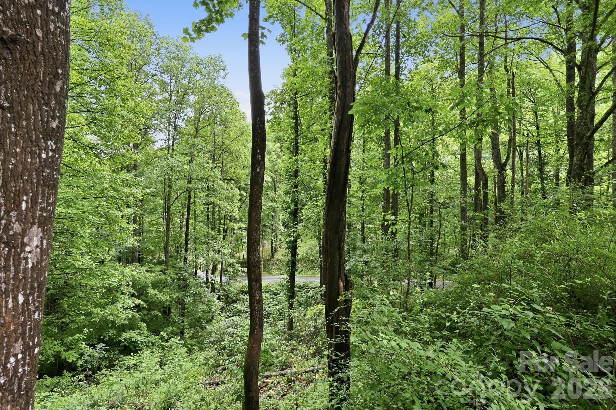 182 Saw Branch Road Candler, NC 28715 - Photo 34 of 37