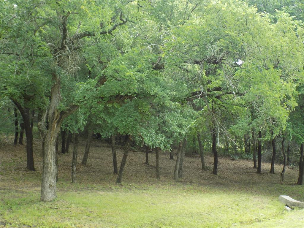 203 South Ridgeview Court Azle, TX 76020 - Photo 23 of 29 Beautiful views of the park like yard.