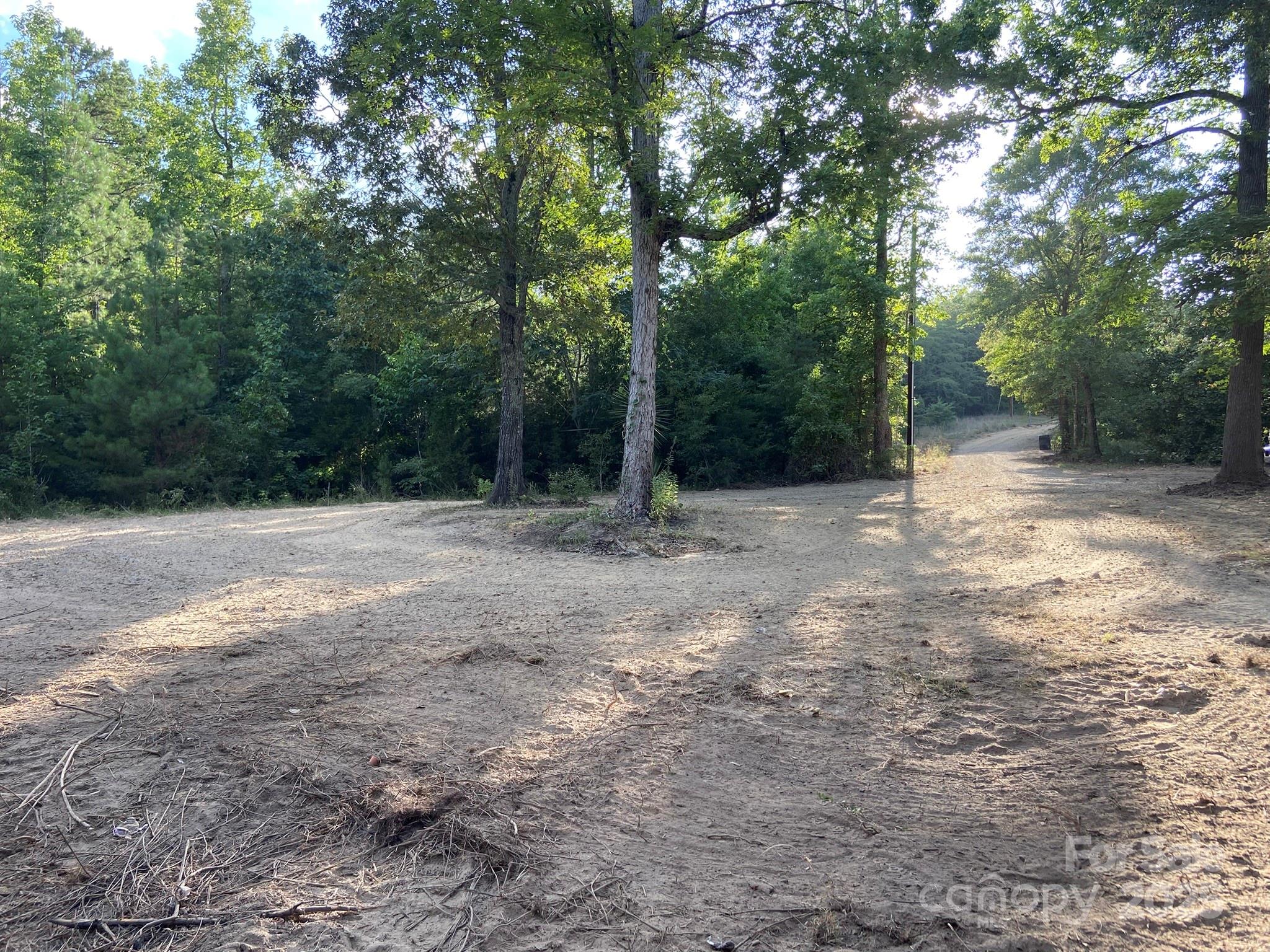 4817 Blade Run Road Edgemoor, SC 29712 - Photo 2 of 15 a view of backyard with green space