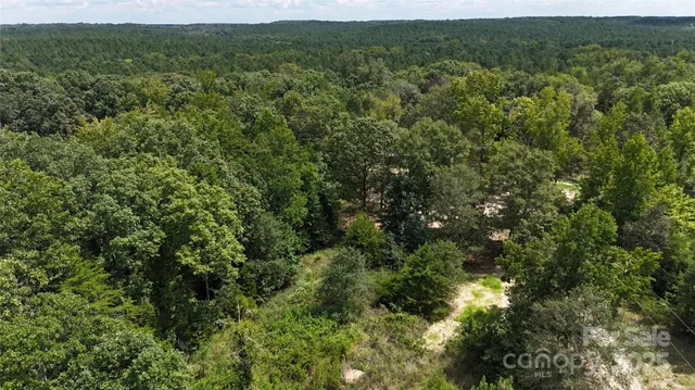 an aerial view of residential houses with outdoor space and trees