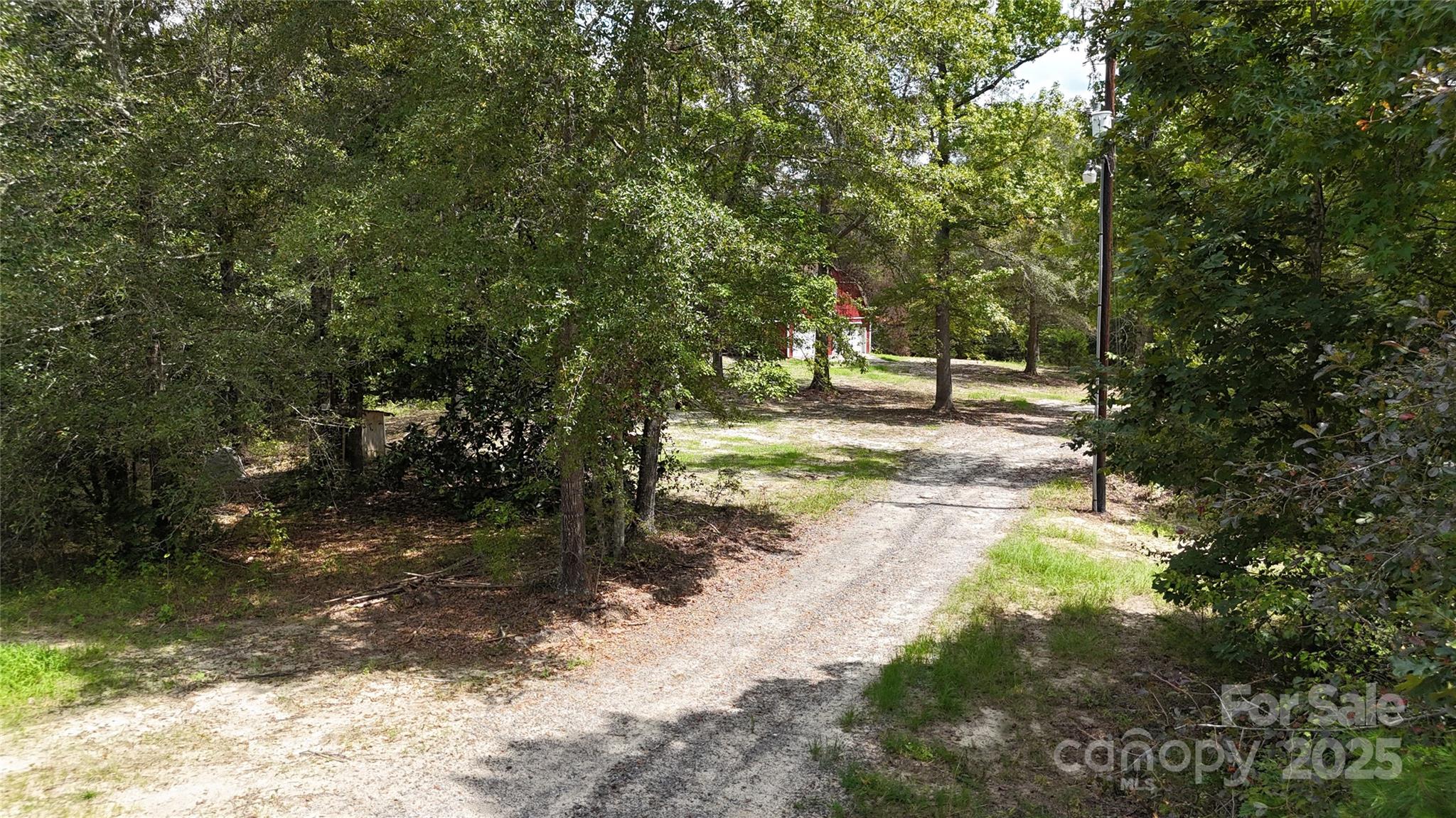 4817 Blade Run Road Edgemoor, SC 29712 - Photo 9 of 15 a view of a yard with trees