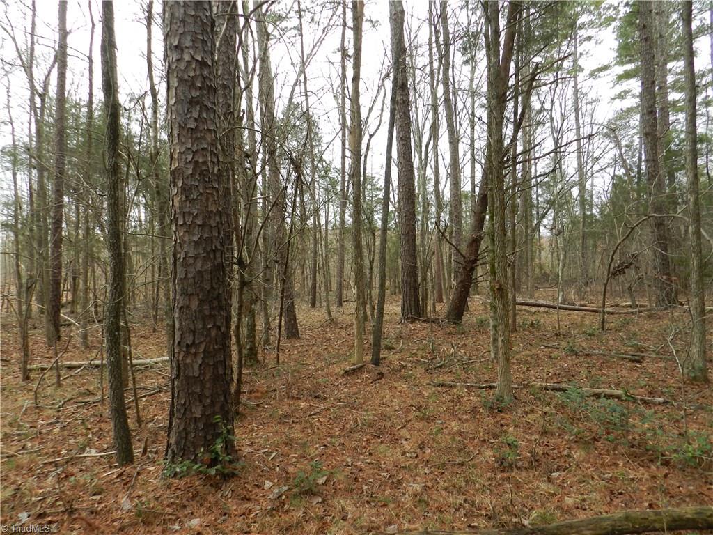 0 Shiptontown Road Denton, NC 27239 - Photo 14 of 15 Gallery Image 14