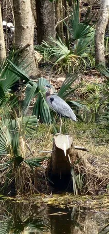a living room with furniture fireplace and window