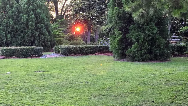 a view of a backyard with a garden and entertaining space
