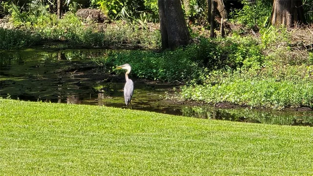 a garden view with a lake