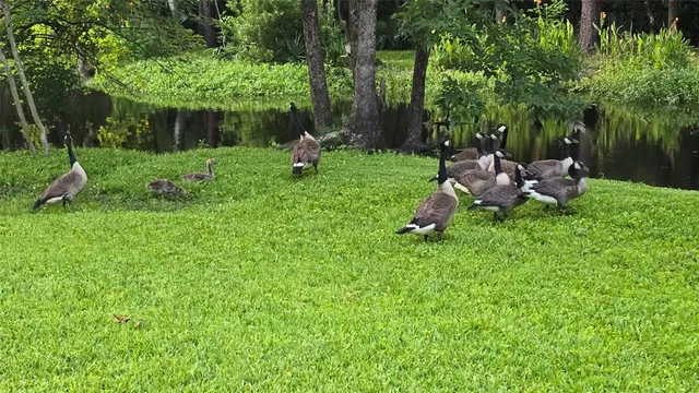 a living room with furniture ceiling fan and a window