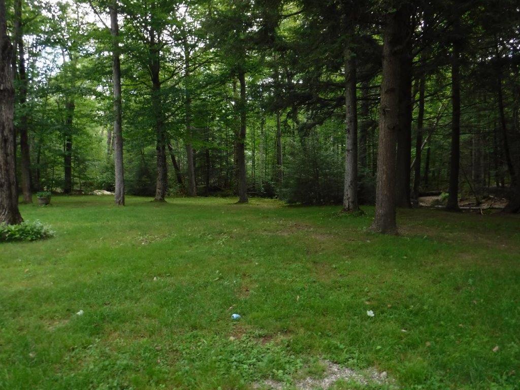 110 Isthmus Road Rumford, ME 04276 - Photo 28 of 41 #28 more of back yard