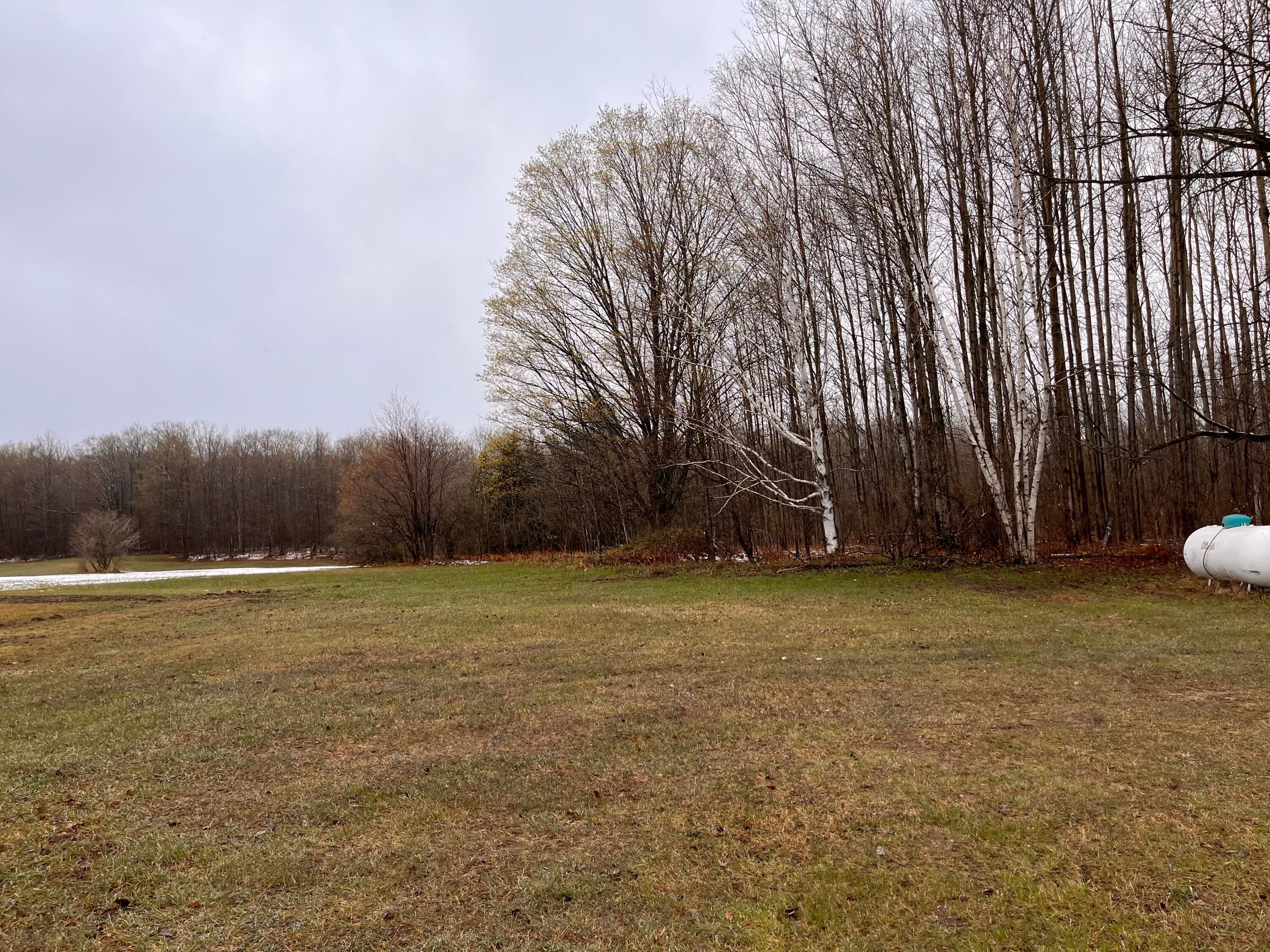 11900 Sherman Road Frederic, MI 49733 - Photo 30 of 33 Gallery Image 30