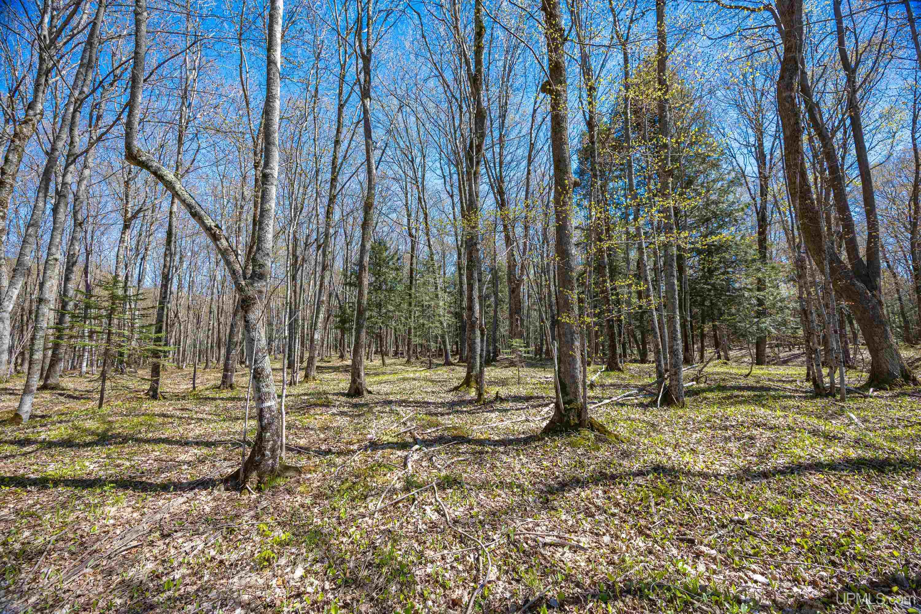 49190 Upper Freda Shores Road Atlantic Mine, MI 49905 - Photo 52 of 68