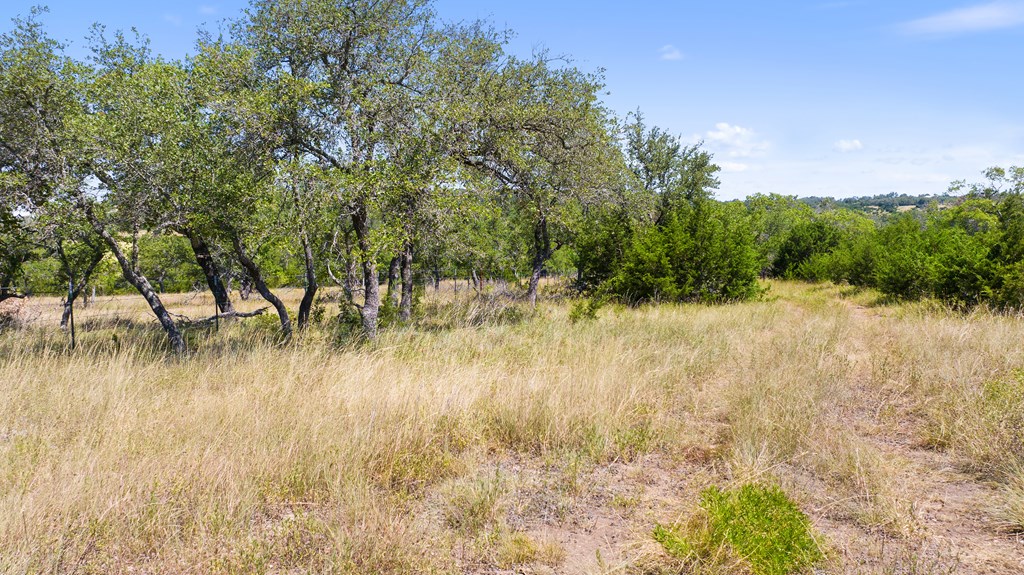 20 Ranch Road, Unit 20 Blanco, TX 78606 - Photo 5 of 8