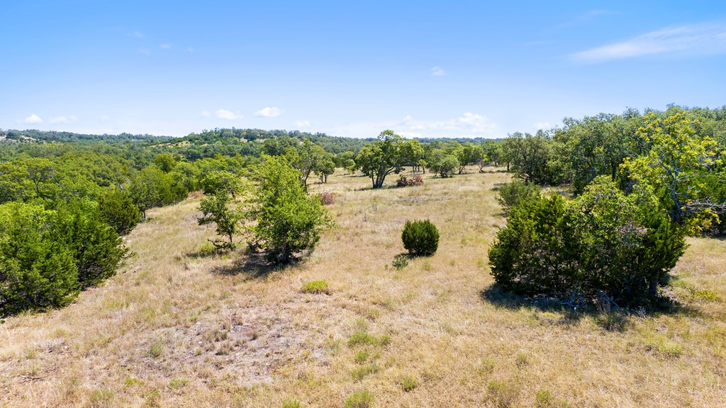 20 Ranch Road, Unit 20 Blanco, TX 78606 - Photo 6 of 8