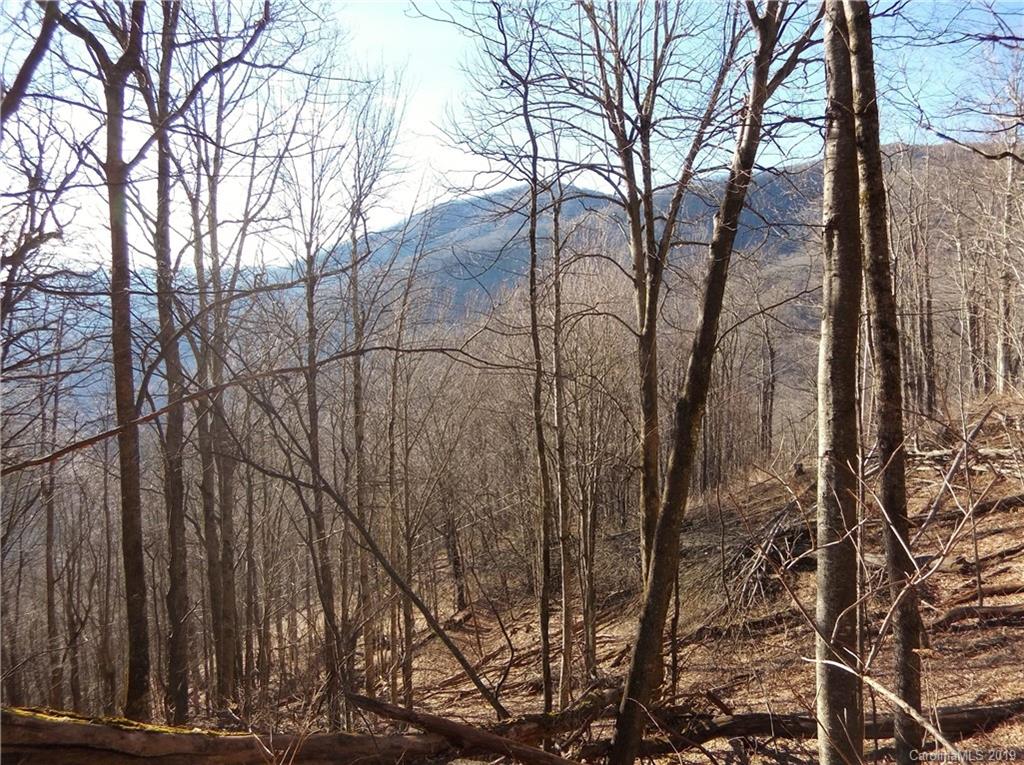 Lot 3-2b Off Scenic View Road Maggie Valley, NC 28751 - Photo 11 of 36 Gallery Image 11