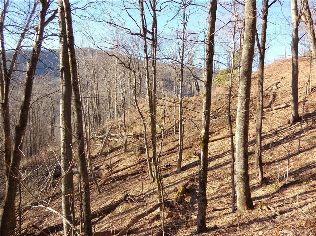 Lot 3-2b Off Scenic View Road Maggie Valley, NC 28751 - Photo 12 of 36 Gallery Image 12