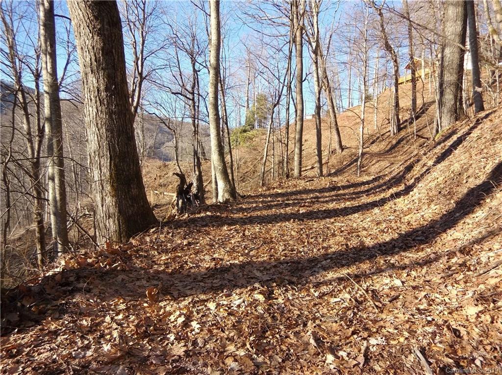 Lot 3-2b Off Scenic View Road Maggie Valley, NC 28751 - Photo 13 of 36 Gallery Image 13