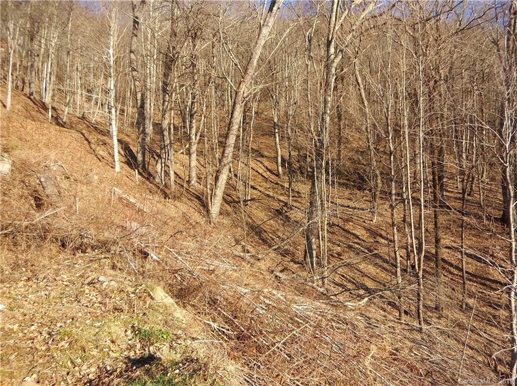 Lot 3-2b Off Scenic View Road Maggie Valley, NC 28751 - Photo 14 of 36 Gallery Image 14