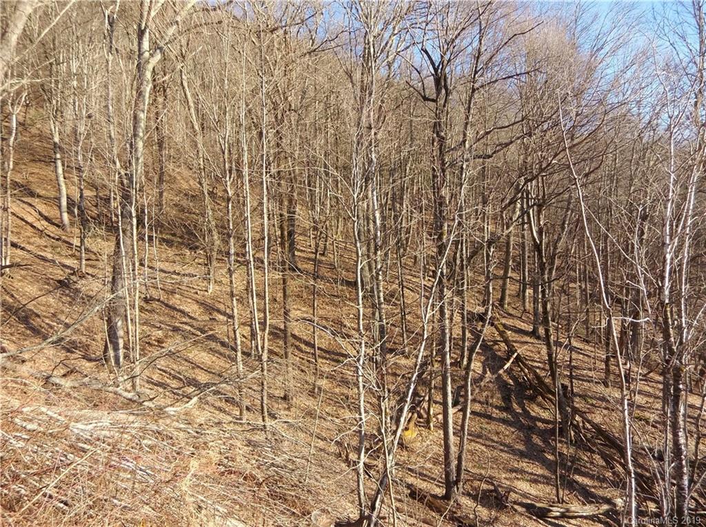 Lot 3-2b Off Scenic View Road Maggie Valley, NC 28751 - Photo 15 of 36 Gallery Image 15