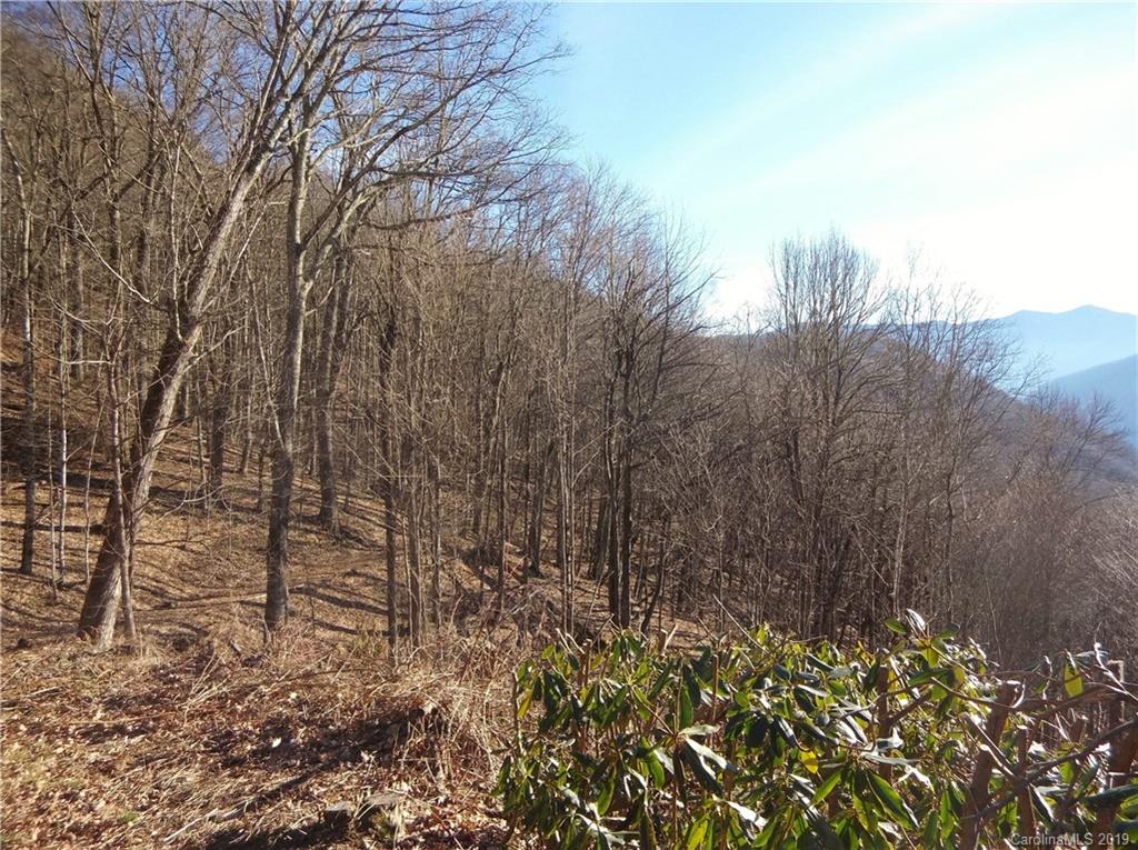Lot 3-2b Off Scenic View Road Maggie Valley, NC 28751 - Photo 16 of 36 Gallery Image 16