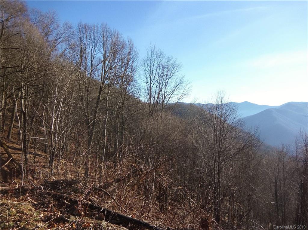 Lot 3-2b Off Scenic View Road Maggie Valley, NC 28751 - Photo 17 of 36 Gallery Image 17