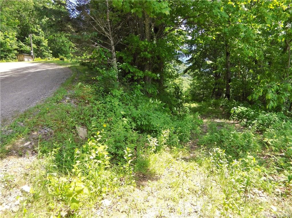 Lot 3-2b Off Scenic View Road Maggie Valley, NC 28751 - Photo 20 of 36 Gallery Image 20