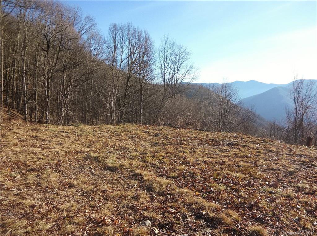 Lot 3-2b Off Scenic View Road Maggie Valley, NC 28751 - Photo 3 of 36 Gallery Image 3