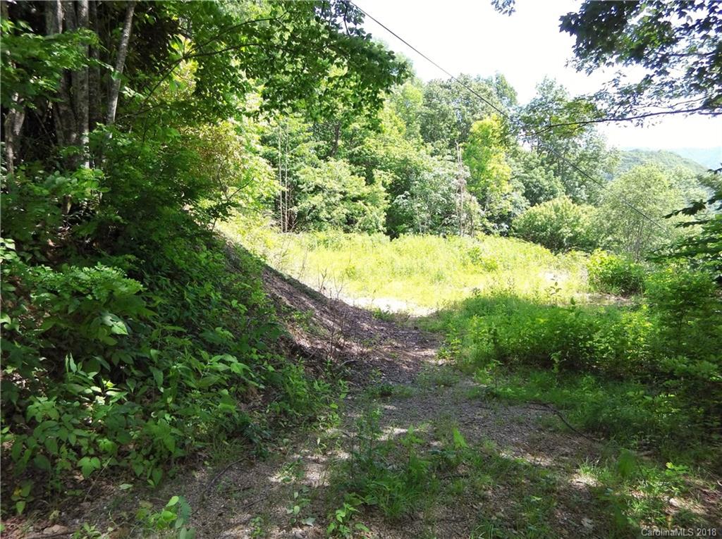 Lot 3-2b Off Scenic View Road Maggie Valley, NC 28751 - Photo 21 of 36 Gallery Image 21