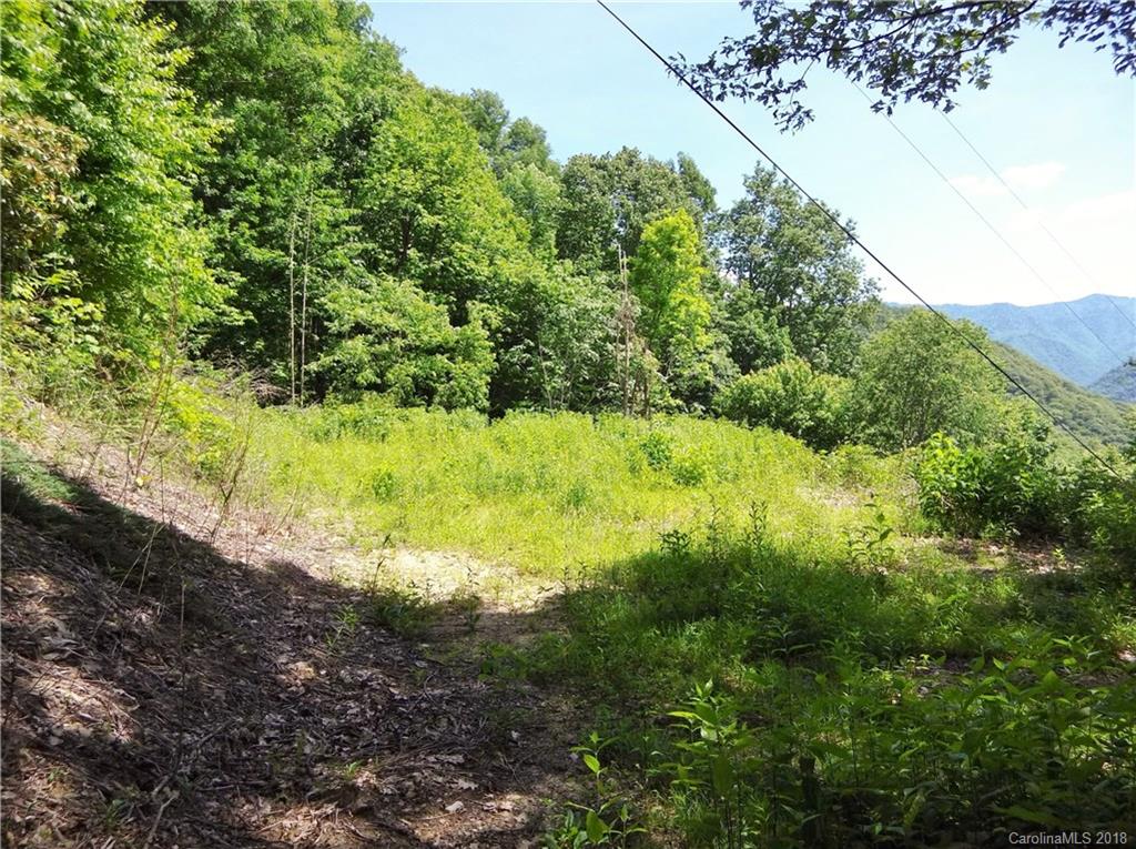 Lot 3-2b Off Scenic View Road Maggie Valley, NC 28751 - Photo 22 of 36 Gallery Image 22