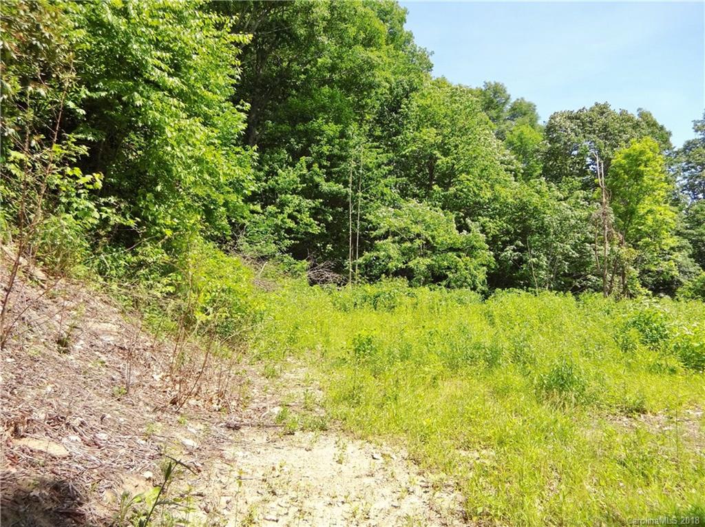 Lot 3-2b Off Scenic View Road Maggie Valley, NC 28751 - Photo 23 of 36 Gallery Image 23