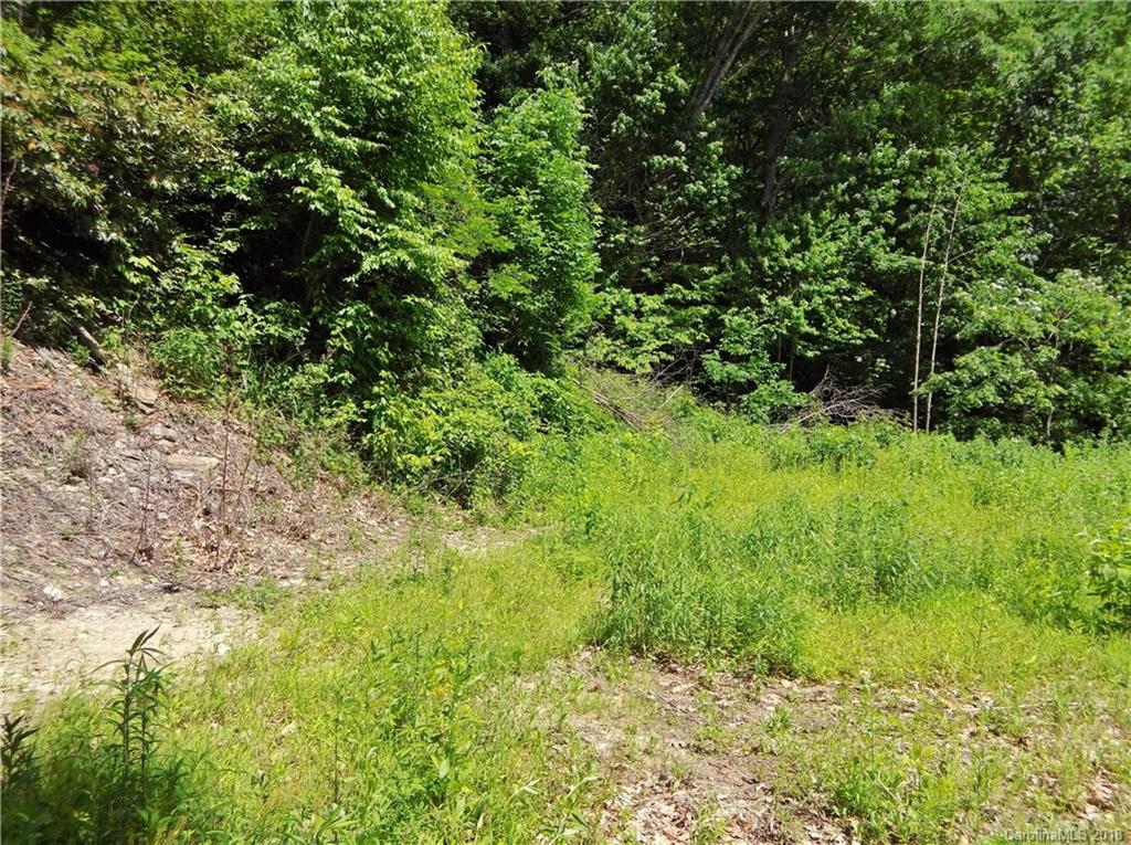 Lot 3-2b Off Scenic View Road Maggie Valley, NC 28751 - Photo 24 of 36 Gallery Image 24