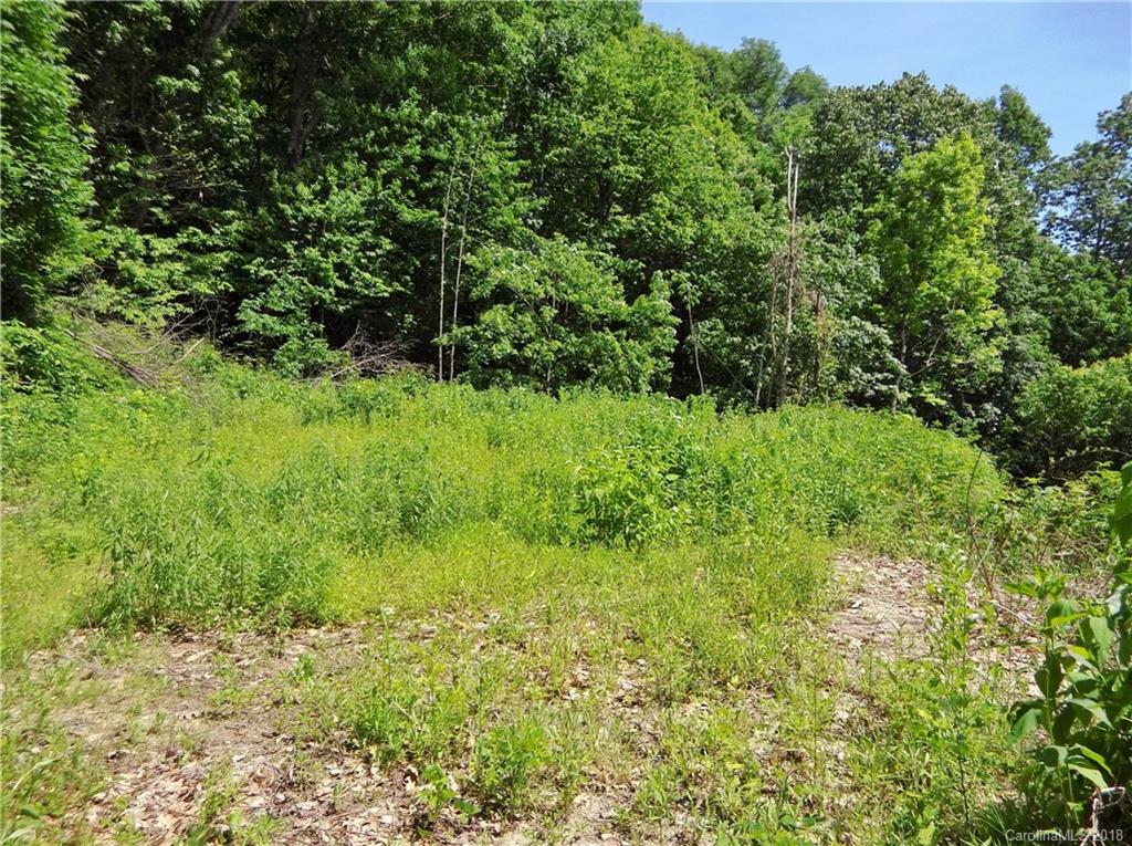 Lot 3-2b Off Scenic View Road Maggie Valley, NC 28751 - Photo 25 of 36 Gallery Image 25