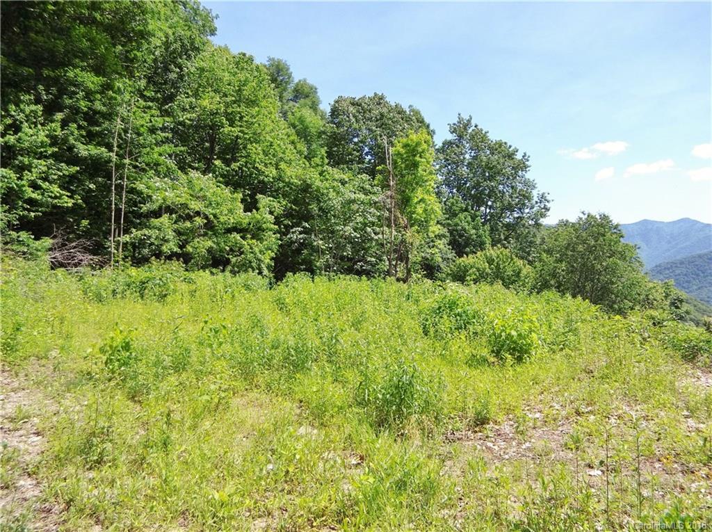 Lot 3-2b Off Scenic View Road Maggie Valley, NC 28751 - Photo 26 of 36 Gallery Image 26