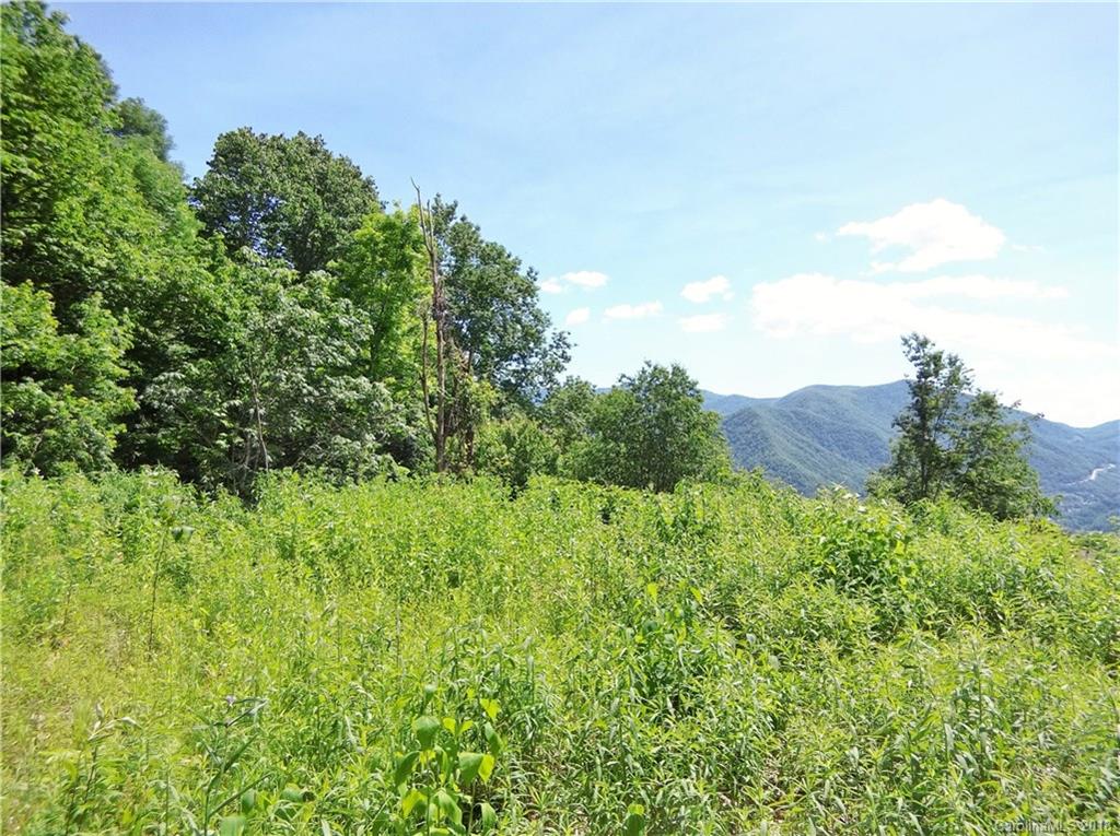 Lot 3-2b Off Scenic View Road Maggie Valley, NC 28751 - Photo 27 of 36 Gallery Image 27