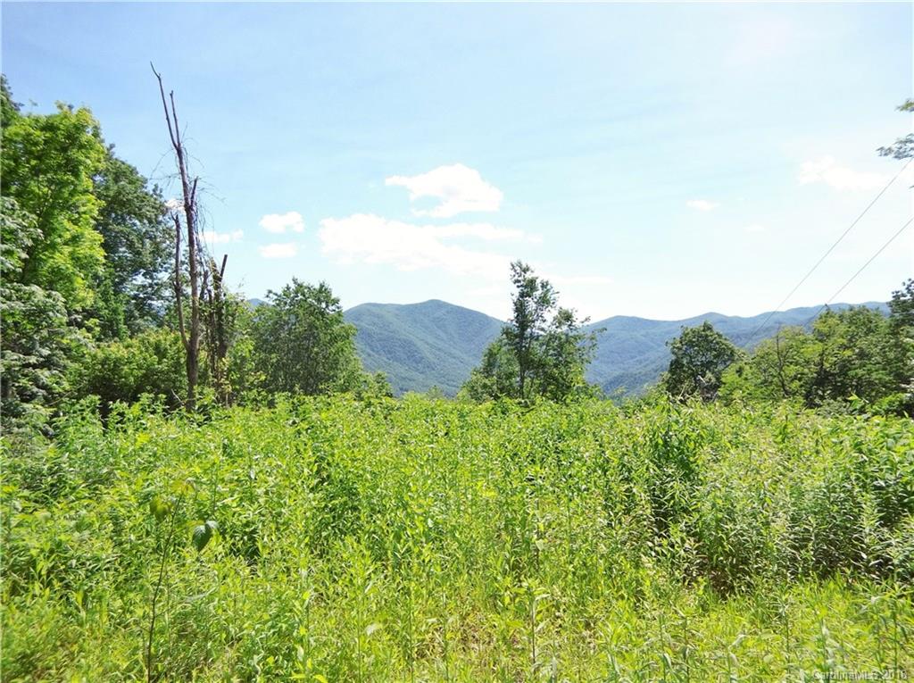 Lot 3-2b Off Scenic View Road Maggie Valley, NC 28751 - Photo 28 of 36 Gallery Image 28
