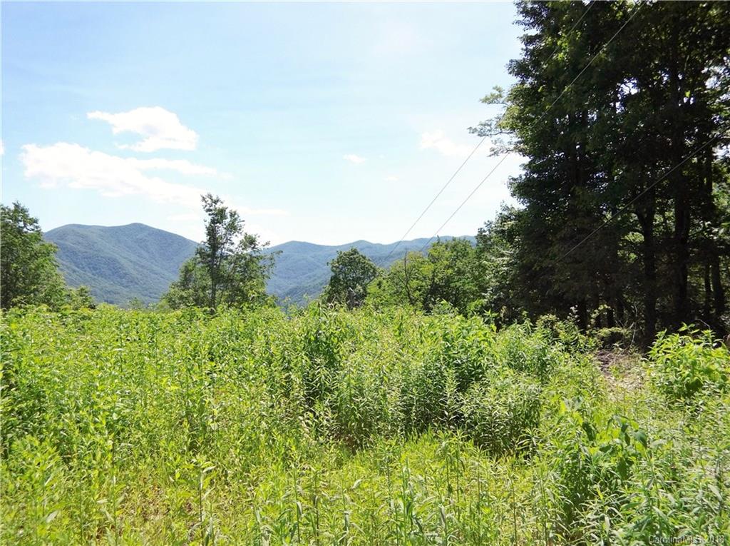 Lot 3-2b Off Scenic View Road Maggie Valley, NC 28751 - Photo 29 of 36 Gallery Image 29