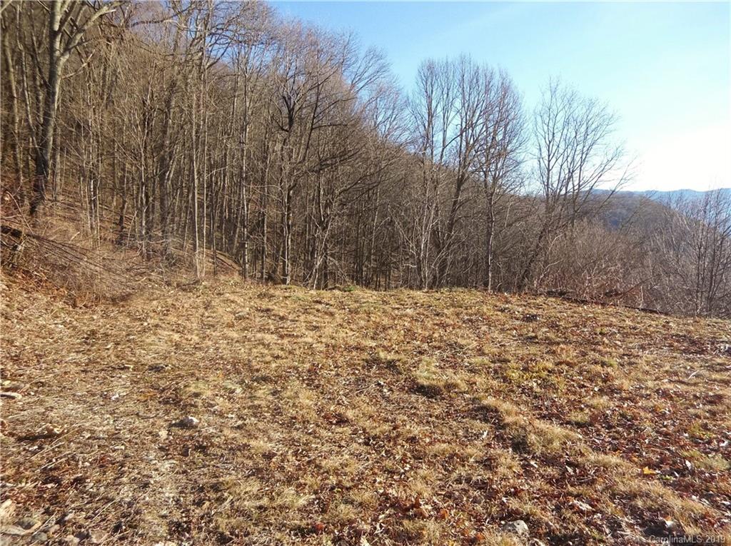Lot 3-2b Off Scenic View Road Maggie Valley, NC 28751 - Photo 4 of 36 Gallery Image 4