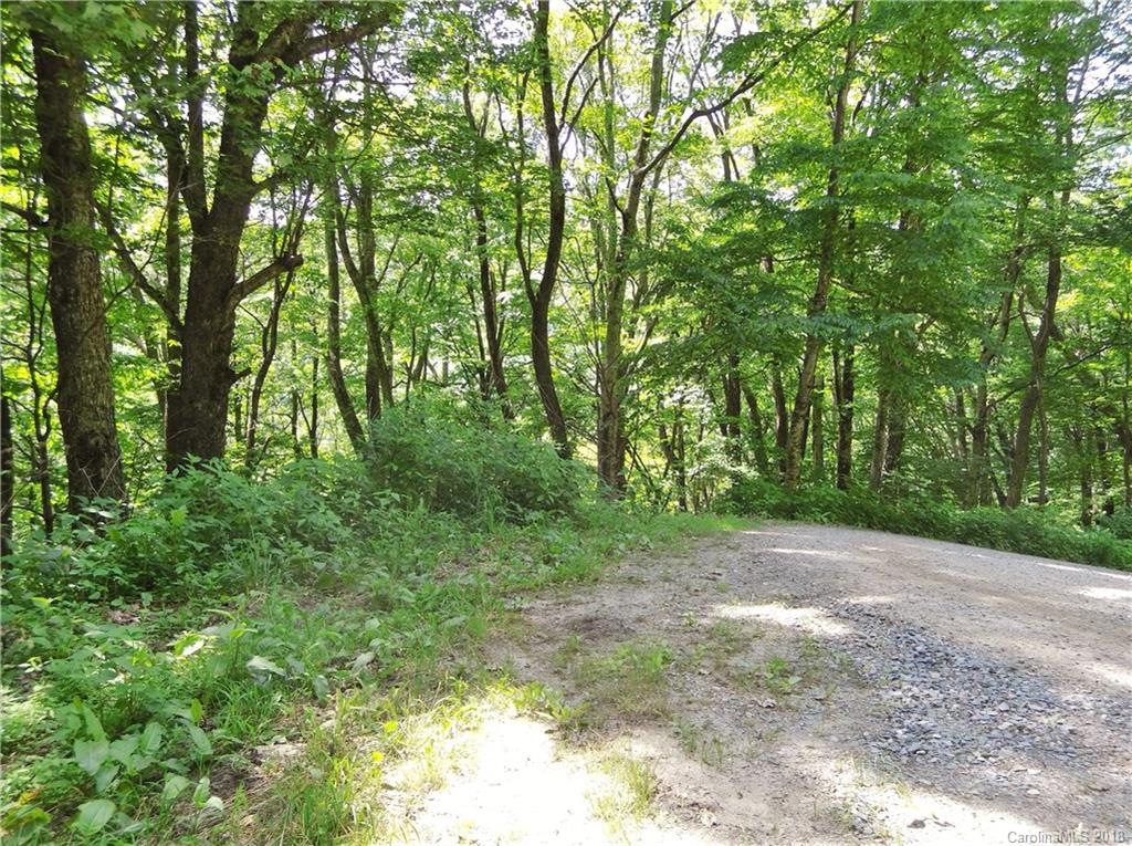 Lot 3-2b Off Scenic View Road Maggie Valley, NC 28751 - Photo 31 of 36 Gallery Image 31