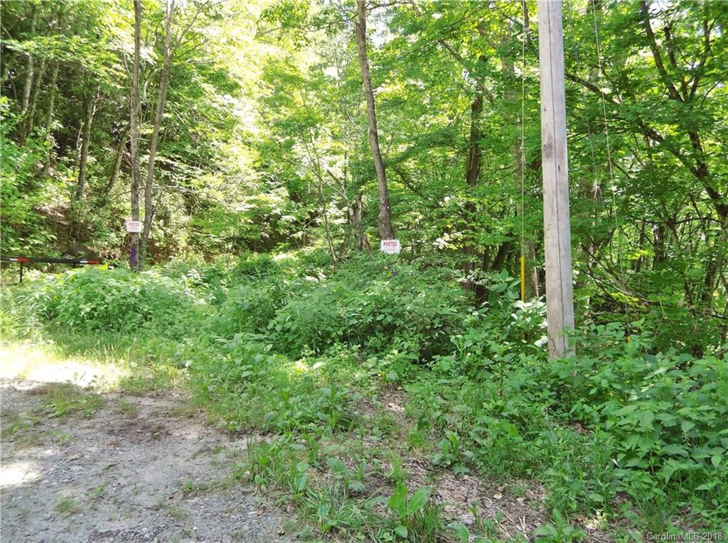 Lot 3-2b Off Scenic View Road Maggie Valley, NC 28751 - Photo 32 of 36 Gallery Image 32
